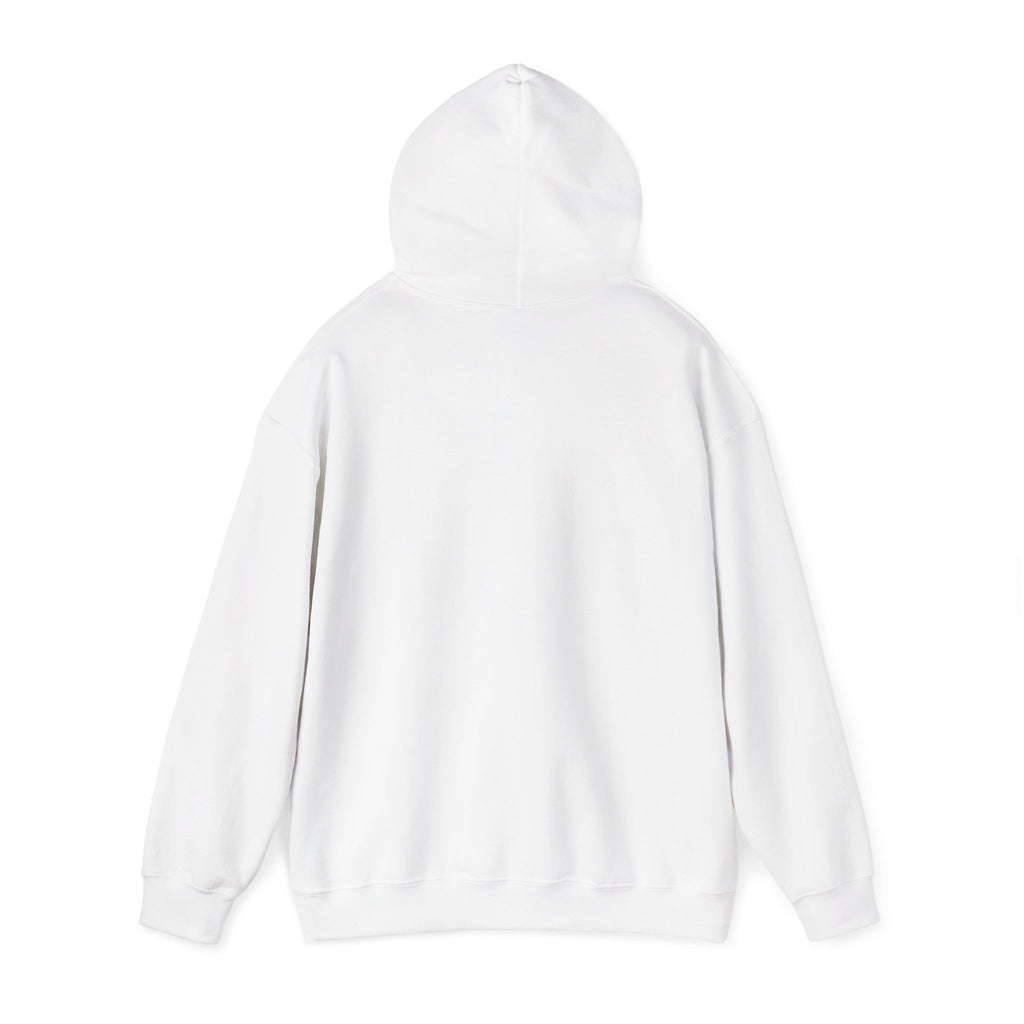 This Meeting Could’ve Been a Walk Hoodie | Funny Work From Home Sweatshirt | Cozy Casual Unisex Pullover