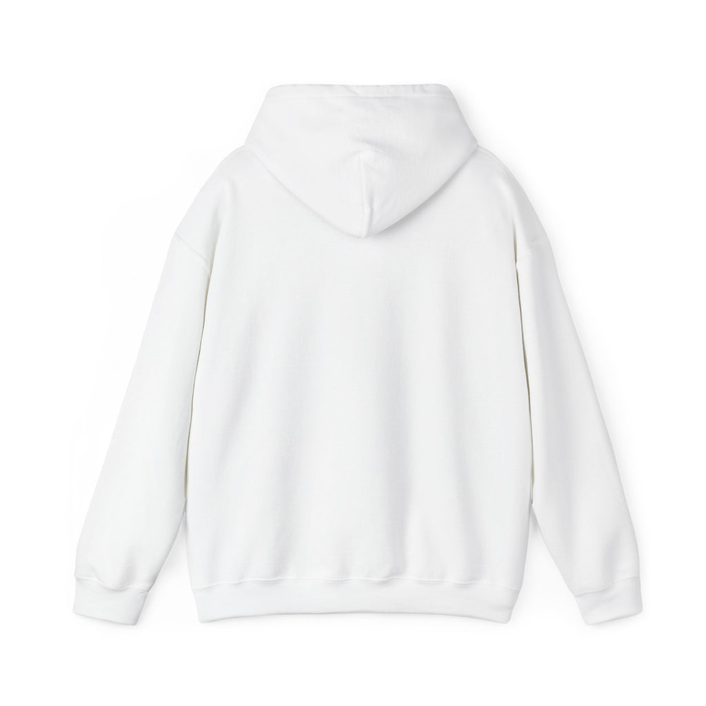 This Meeting Could’ve Been a Walk Hoodie | Funny Work From Home Sweatshirt | Cozy Casual Unisex Pullover