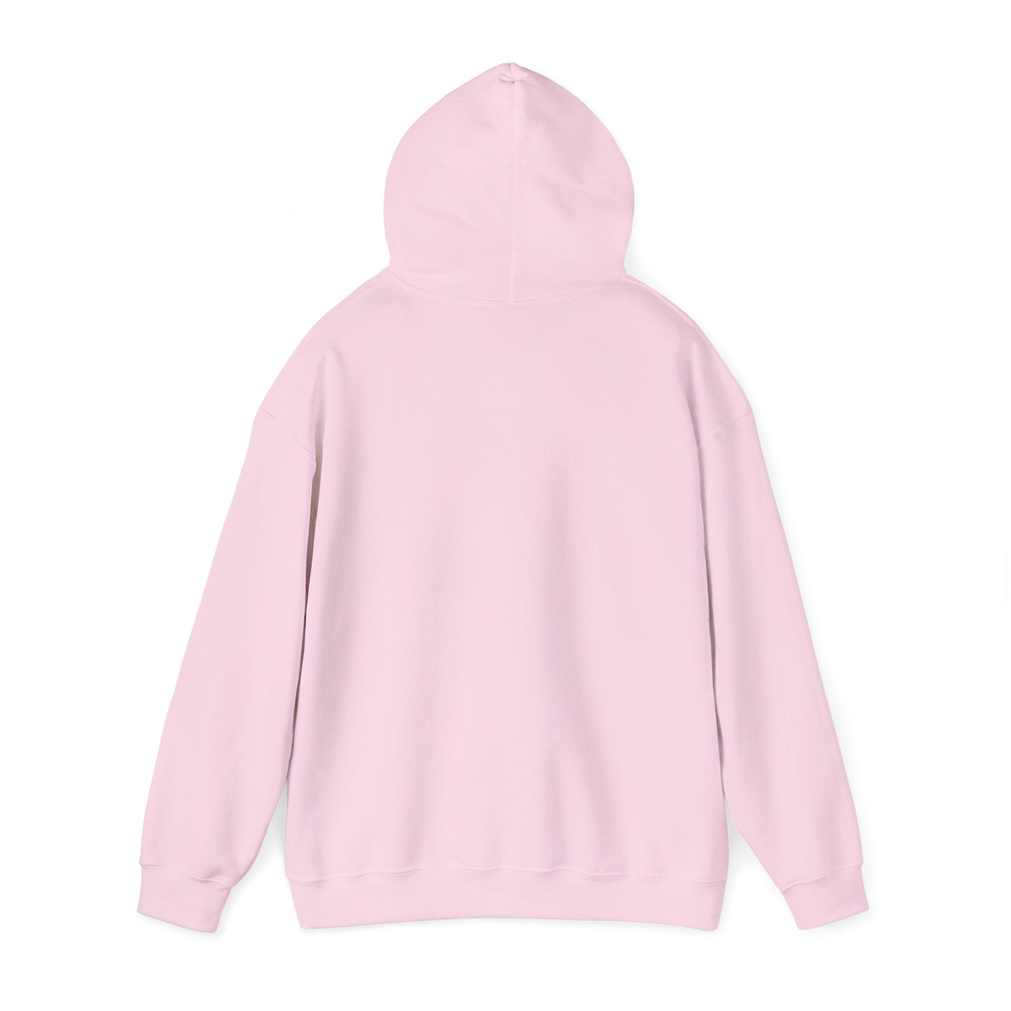 This Meeting Could’ve Been a Walk Hoodie | Funny Work From Home Sweatshirt | Cozy Casual Unisex Pullover